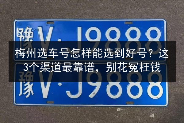 梅州选车号怎样能选到好号？这3个渠道最靠谱，别花冤枉钱 第2张
