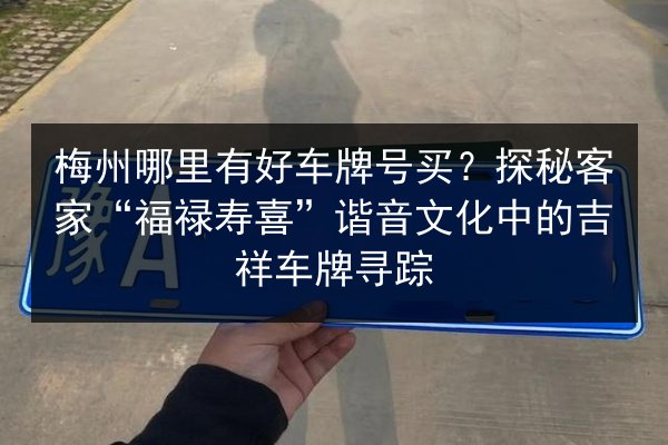 梅州哪里有好车牌号买？探秘客家“福禄寿喜”谐音文化中的吉祥车牌寻踪 第2张