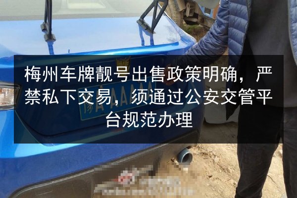 梅州车牌靓号出售政策明确，严禁私下交易，须通过公安交管平台规范办理 第2张