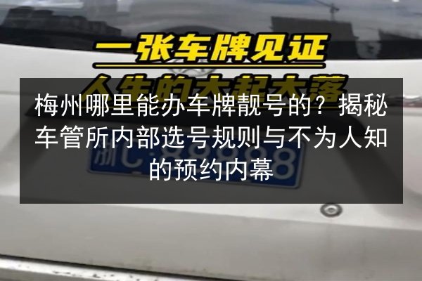 梅州哪里能办车牌靓号的？揭秘车管所内部选号规则与不为人知的预约内幕 第2张