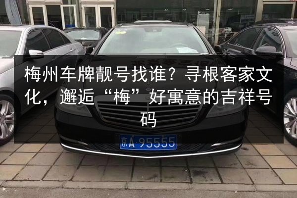 梅州车牌靓号找谁？寻根客家文化，邂逅“梅”好寓意的吉祥号码