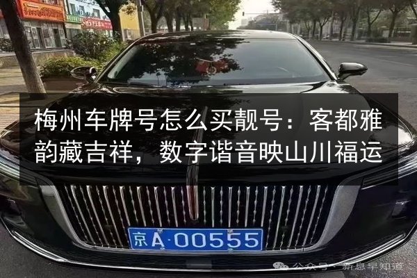 梅州车牌号怎么买靓号:客都雅韵藏吉祥,数字谐音映山川福运 第2张 梅州车牌号怎么买靓号:客都雅韵藏吉祥,数字谐音映山川福运 第2张