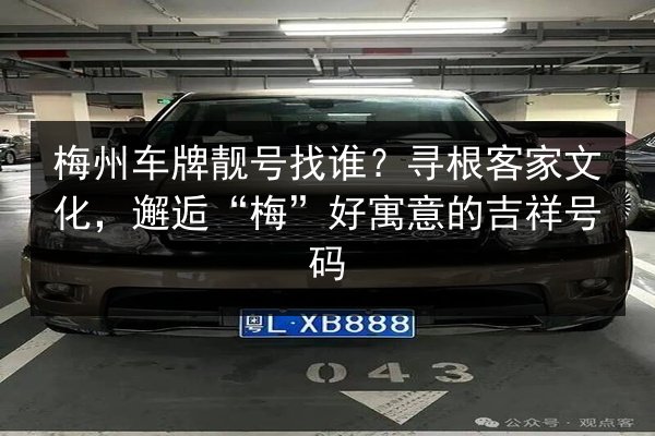 梅州车牌靓号找谁？寻根客家文化，邂逅“梅”好寓意的吉祥号码 第2张