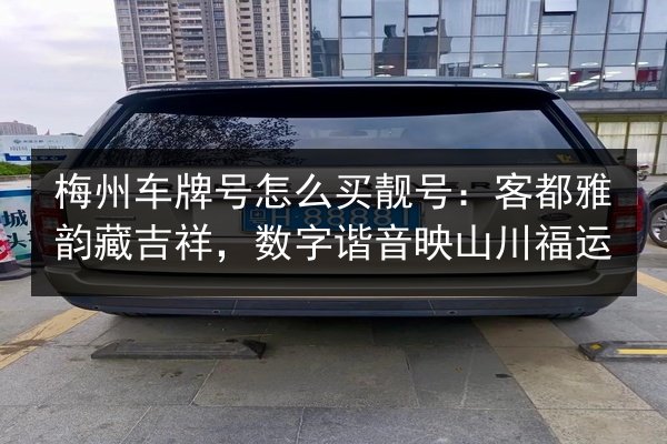 梅州车牌号怎么买靓号:客都雅韵藏吉祥,数字谐音映山川福运 第3张 梅州车牌号怎么买靓号:客都雅韵藏吉祥,数字谐音映山川福运 第3张