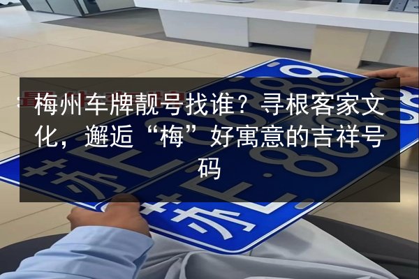 梅州车牌靓号找谁？寻根客家文化，邂逅“梅”好寓意的吉祥号码 第3张