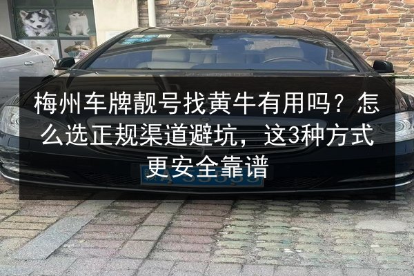 梅州车牌靓号找黄牛有用吗?怎么选正规渠道避坑,这3种方式更安全靠谱 第2张 梅州车牌靓号找黄牛有用吗?怎么选正规渠道避坑,这3种方式更安全靠谱 第2张