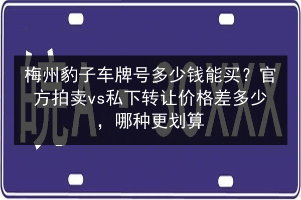 梅州豹子车牌号多少钱能买?官方拍卖vs私下转让价格差多少,哪种更划算 第2张 梅州豹子车牌号多少钱能买?官方拍卖vs私下转让价格差多少,哪种更划算 第2张