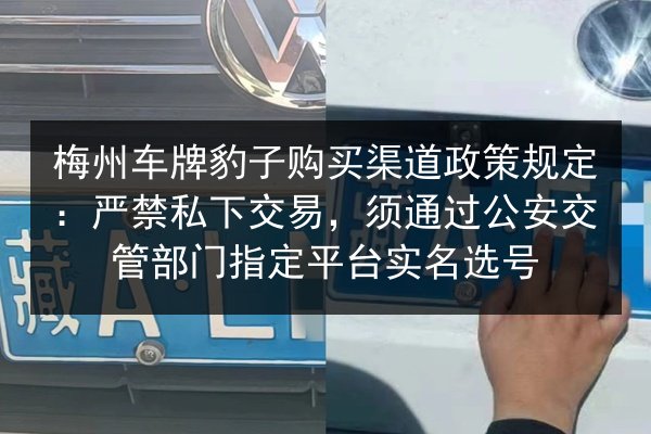 梅州车牌豹子购买渠道政策规定:严禁私下交易,须通过公安交管部门指定平台实名选号 第2张 梅州车牌豹子购买渠道政策规定:严禁私下交易,须通过公安交管部门指定平台实名选号 第2张