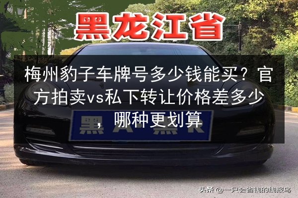 梅州豹子车牌号多少钱能买?官方拍卖vs私下转让价格差多少,哪种更划算 第3张 梅州豹子车牌号多少钱能买?官方拍卖vs私下转让价格差多少,哪种更划算 第3张