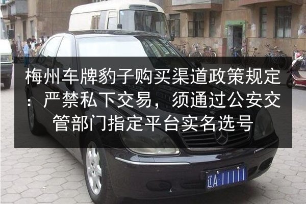 梅州车牌豹子购买渠道政策规定:严禁私下交易,须通过公安交管部门指定平台实名选号 第3张 梅州车牌豹子购买渠道政策规定:严禁私下交易,须通过公安交管部门指定平台实名选号 第3张