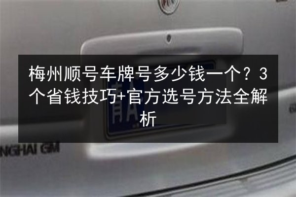 梅州顺号车牌号多少钱一个？3个省钱技巧+官方选号方法全解析 第3张