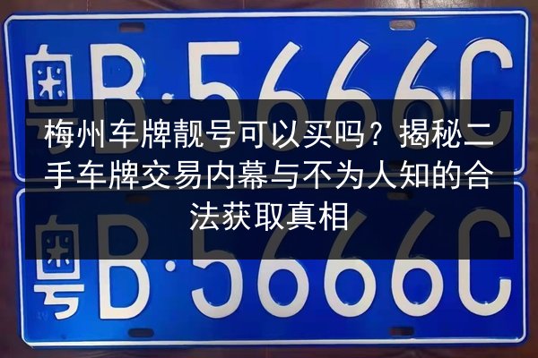 梅州车牌靓号可以买吗？揭秘二手车牌交易内幕与不为人知的合法获取真相 第2张