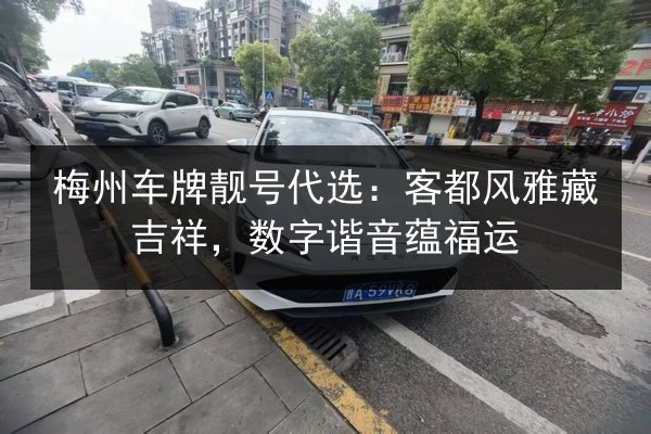 梅州车牌靓号代选：客都风雅藏吉祥，数字谐音蕴福运 第2张