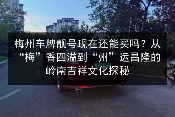 梅州车牌靓号现在还能买吗?从“梅”香四溢到“州”运昌隆的岭南吉祥文化探秘 第2张 梅州车牌靓号现在还能买吗?从“梅”香四溢到“州”运昌隆的岭南吉祥文化探秘 第2张