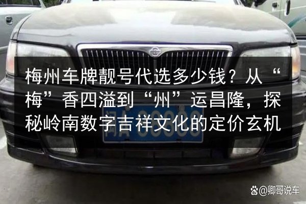 梅州车牌靓号代选多少钱?从“梅”香四溢到“州”运昌隆,探秘岭南数字吉祥文化的定价玄机 第2张 梅州车牌靓号代选多少钱?从“梅”香四溢到“州”运昌隆,探秘岭南数字吉祥文化的定价玄机 第2张