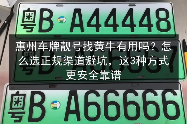 惠州车牌靓号找黄牛有用吗？怎么选正规渠道避坑，这3种方式更安全靠谱 第2张