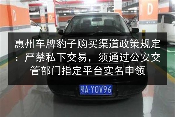 惠州车牌豹子购买渠道政策规定：严禁私下交易，须通过公安交管部门指定平台实名申领 第3张