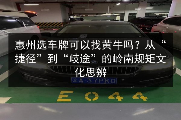 惠州选车牌可以找黄牛吗？从“捷径”到“歧途”的岭南规矩文化思辨