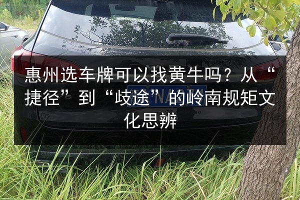 惠州选车牌可以找黄牛吗?从“捷径”到“歧途”的岭南规矩文化思辨 第3张 惠州选车牌可以找黄牛吗?从“捷径”到“歧途”的岭南规矩文化思辨 第3张