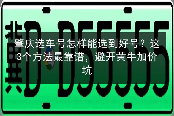 肇庆选车号怎样能选到好号？这3个方法最靠谱，避开黄牛加价坑 第2张
