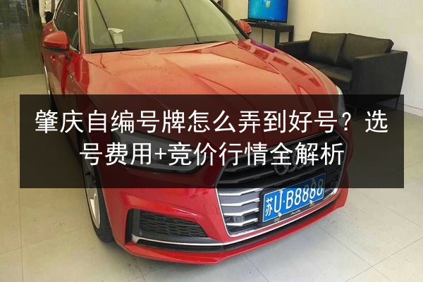 肇庆自编号牌怎么弄到好号？选号费用+竞价行情全解析