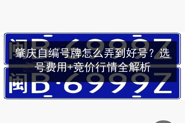 肇庆自编号牌怎么弄到好号？选号费用+竞价行情全解析 第2张