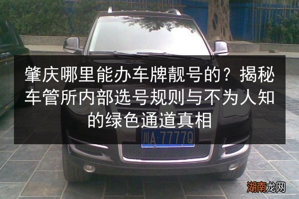 肇庆哪里能办车牌靓号的?揭秘车管所内部选号规则与不为人知的绿色通道真相 第2张 肇庆哪里能办车牌靓号的?揭秘车管所内部选号规则与不为人知的绿色通道真相 第2张