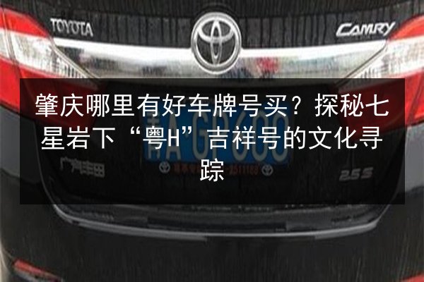 肇庆哪里有好车牌号买？探秘七星岩下“粤H”吉祥号的文化寻踪