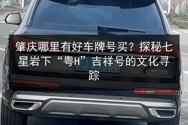 肇庆哪里有好车牌号买？探秘七星岩下“粤H”吉祥号的文化寻踪 第2张