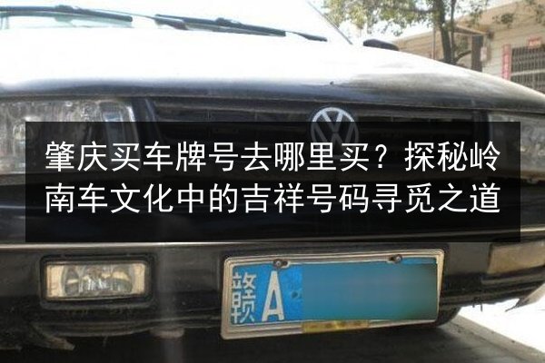 肇庆买车牌号去哪里买？探秘岭南车文化中的吉祥号码寻觅之道 第2张