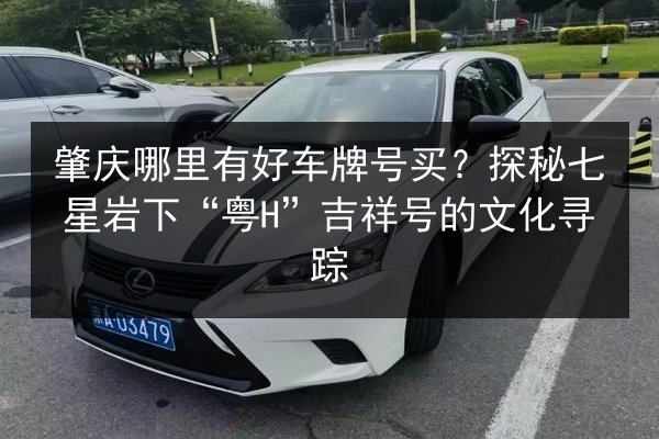 肇庆哪里有好车牌号买？探秘七星岩下“粤H”吉祥号的文化寻踪 第3张
