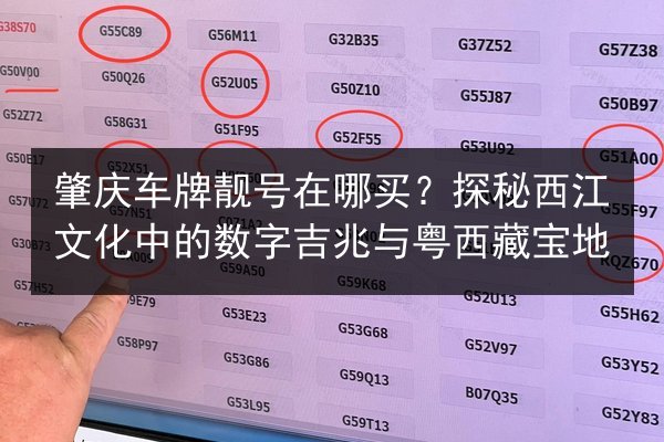 肇庆车牌靓号在哪买？探秘西江文化中的数字吉兆与粤西藏宝地 第3张