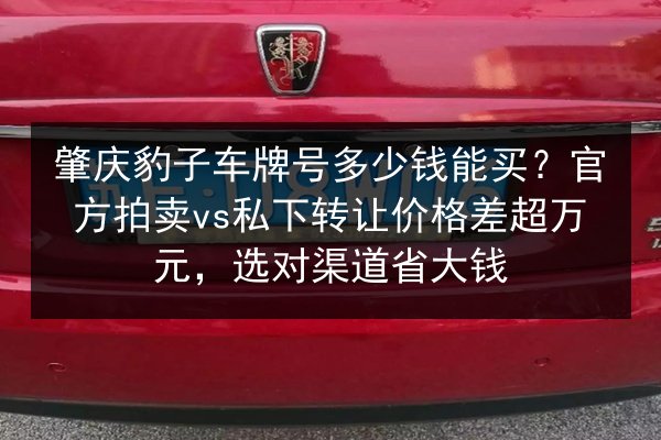 肇庆豹子车牌号多少钱能买?官方拍卖vs私下转让价格差超万元,选对渠道省大钱 第2张 肇庆豹子车牌号多少钱能买?官方拍卖vs私下转让价格差超万元,选对渠道省大钱 第2张