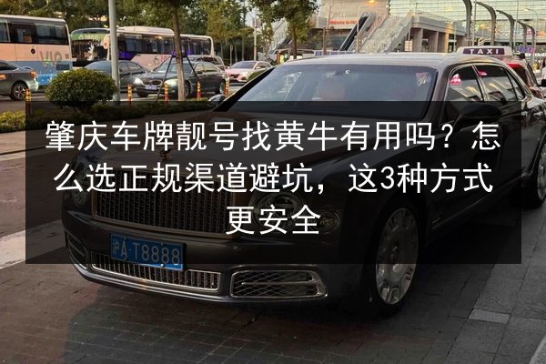 肇庆车牌靓号找黄牛有用吗?怎么选正规渠道避坑,这3种方式更安全 第3张 肇庆车牌靓号找黄牛有用吗?怎么选正规渠道避坑,这3种方式更安全 第3张