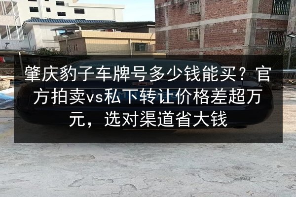 肇庆豹子车牌号多少钱能买?官方拍卖vs私下转让价格差超万元,选对渠道省大钱 第3张 肇庆豹子车牌号多少钱能买?官方拍卖vs私下转让价格差超万元,选对渠道省大钱 第3张
