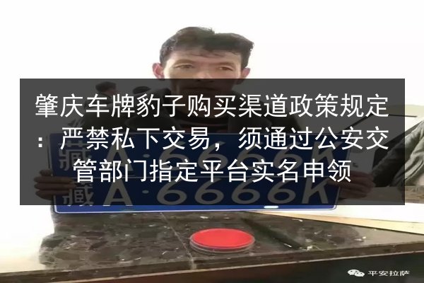 肇庆车牌豹子购买渠道政策规定:严禁私下交易,须通过公安交管部门指定平台实名申领 第2张 肇庆车牌豹子购买渠道政策规定:严禁私下交易,须通过公安交管部门指定平台实名申领 第2张