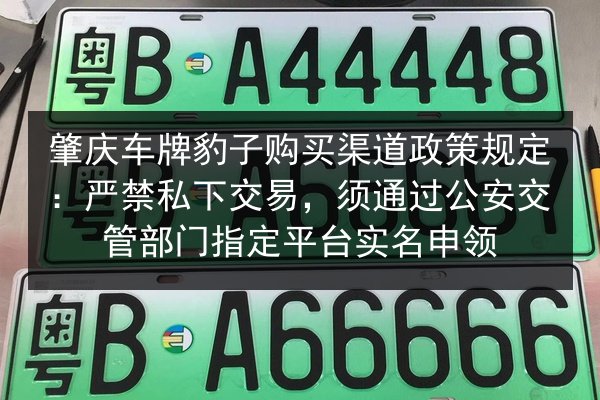 肇庆车牌豹子购买渠道政策规定:严禁私下交易,须通过公安交管部门指定平台实名申领 第3张 肇庆车牌豹子购买渠道政策规定:严禁私下交易,须通过公安交管部门指定平台实名申领 第3张