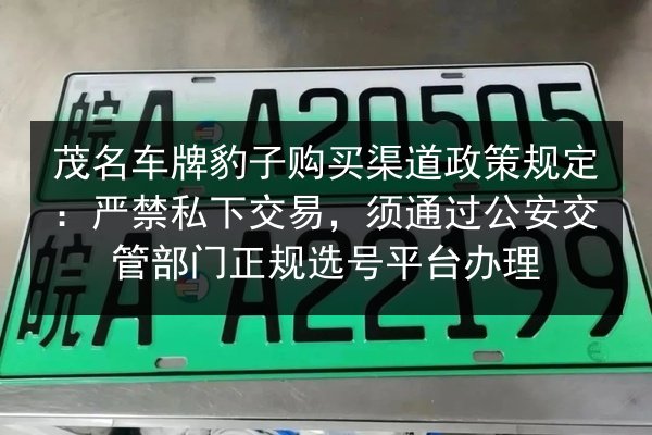 茂名车牌豹子购买渠道政策规定:严禁私下交易,须通过公安交管部门正规选号平台办理 第3张 茂名车牌豹子购买渠道政策规定:严禁私下交易,须通过公安交管部门正规选号平台办理 第3张