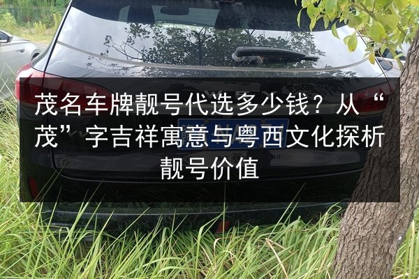 茂名车牌靓号代选多少钱？从“茂”字吉祥寓意与粤西文化探析靓号价值 第2张