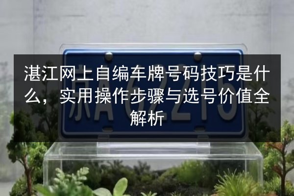 湛江网上自编车牌号码技巧是什么，实用操作步骤与选号价值全解析