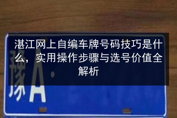 湛江网上自编车牌号码技巧是什么，实用操作步骤与选号价值全解析 第3张