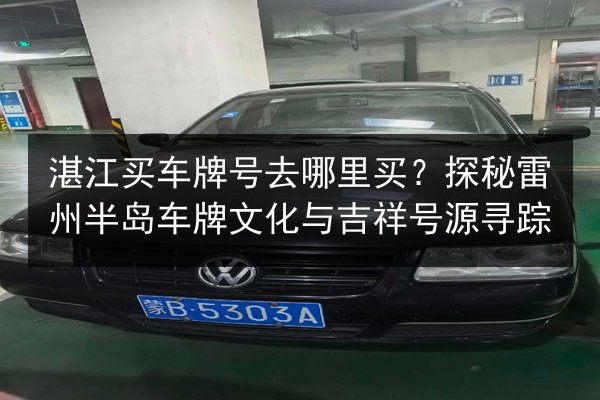 湛江买车牌号去哪里买？探秘雷州半岛车牌文化与吉祥号源寻踪 第2张