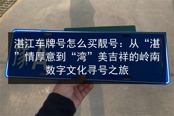 湛江车牌号怎么买靓号：从“湛”情厚意到“湾”美吉祥的岭南数字文化寻号之旅 第2张