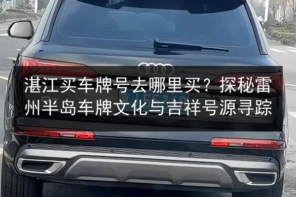 湛江买车牌号去哪里买？探秘雷州半岛车牌文化与吉祥号源寻踪 第3张