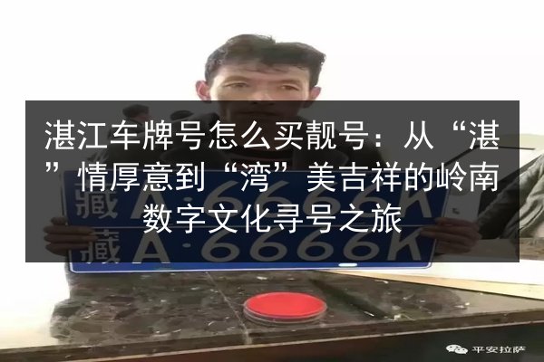 湛江车牌号怎么买靓号：从“湛”情厚意到“湾”美吉祥的岭南数字文化寻号之旅 第3张