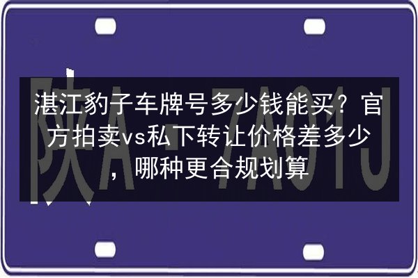 湛江豹子车牌号多少钱能买？官方拍卖vs私下转让价格差多少，哪种更合规划算 第2张