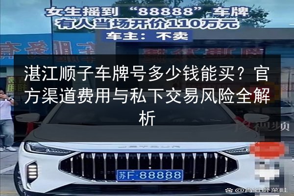 湛江顺子车牌号多少钱能买？官方渠道费用与私下交易风险全解析 第2张