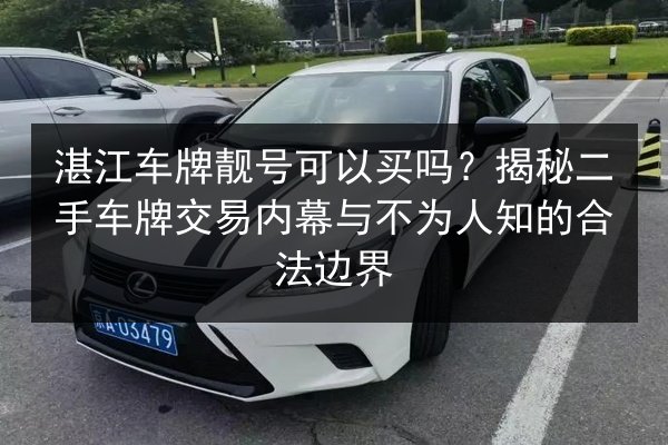 湛江车牌靓号可以买吗？揭秘二手车牌交易内幕与不为人知的合法边界 第2张
