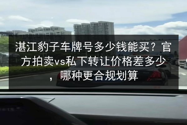 湛江豹子车牌号多少钱能买？官方拍卖vs私下转让价格差多少，哪种更合规划算 第3张