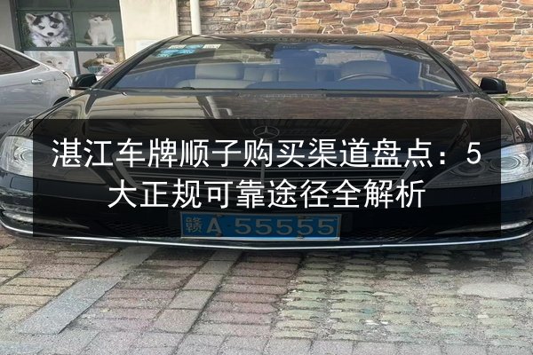 湛江车牌顺子购买渠道盘点:5大正规可靠途径全解析 第3张 湛江车牌顺子购买渠道盘点:5大正规可靠途径全解析 第3张